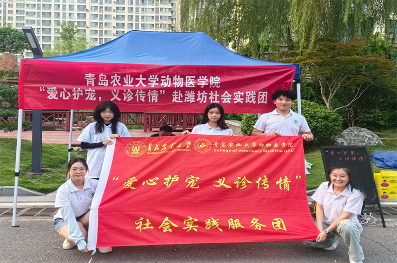 青島農業(yè)大學“愛心護寵，義診傳情”社會實踐服務團：攜手共筑愛寵家園 并肩共繪和諧