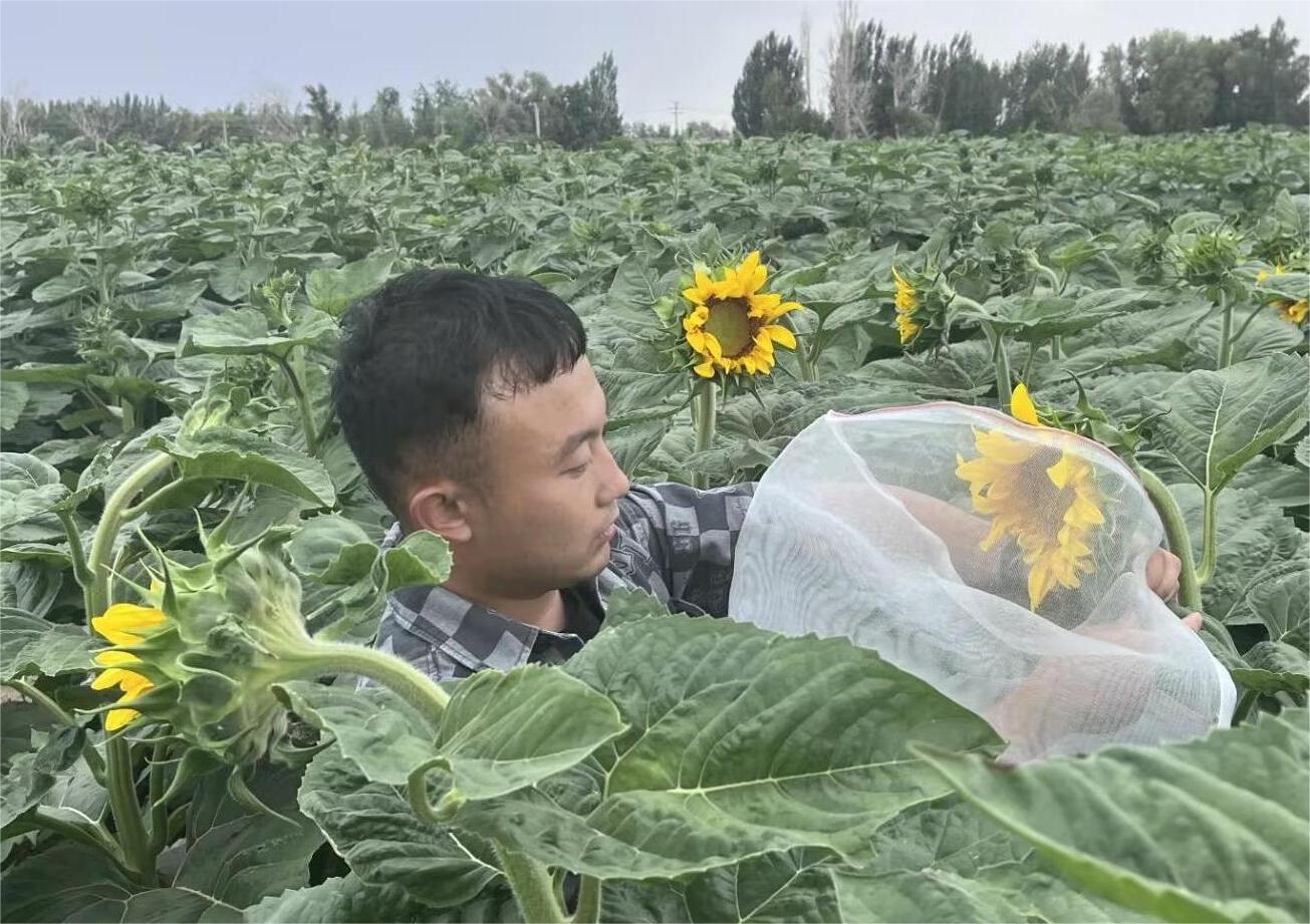 胡楊校友訪談—星光不負(fù)趕路人，時(shí)光厚愛追夢人