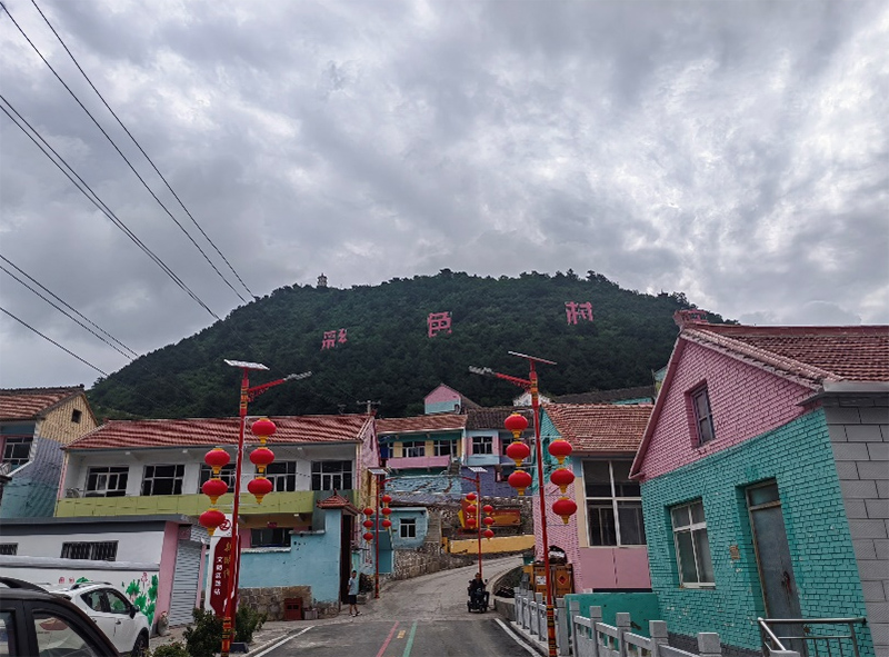 七彩村莊煥發(fā)新生機(jī)，連翹產(chǎn)業(yè)助力鄉(xiāng)村振興