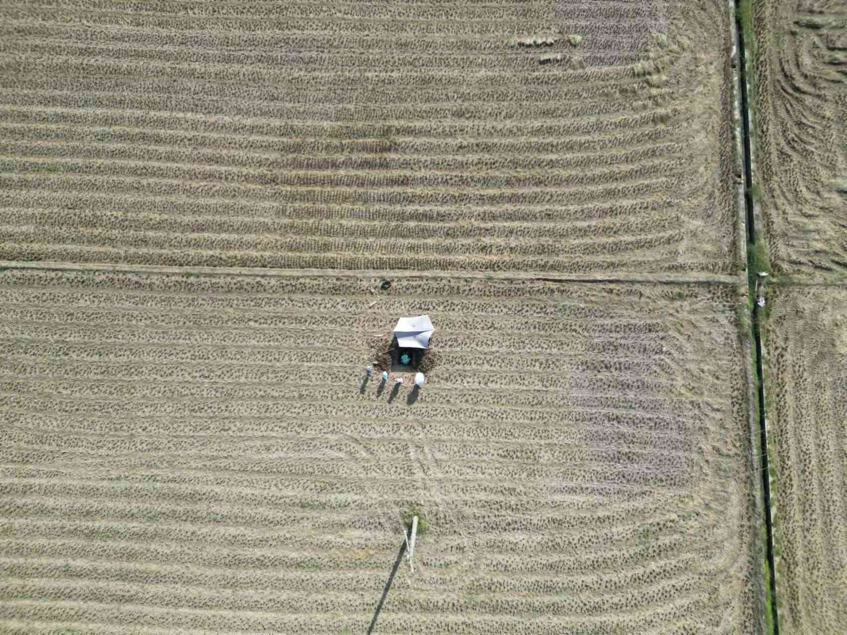 實(shí)地調(diào)研助力土壤質(zhì)量評估—華農(nóng)學(xué)子助力土壤三普