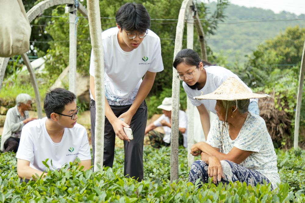 茶韻悠悠，青春筑夢；山香裊裊，智慧助農(nóng)