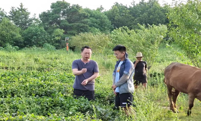 筆耕鄉(xiāng)土察民情，躬身入局謀振興