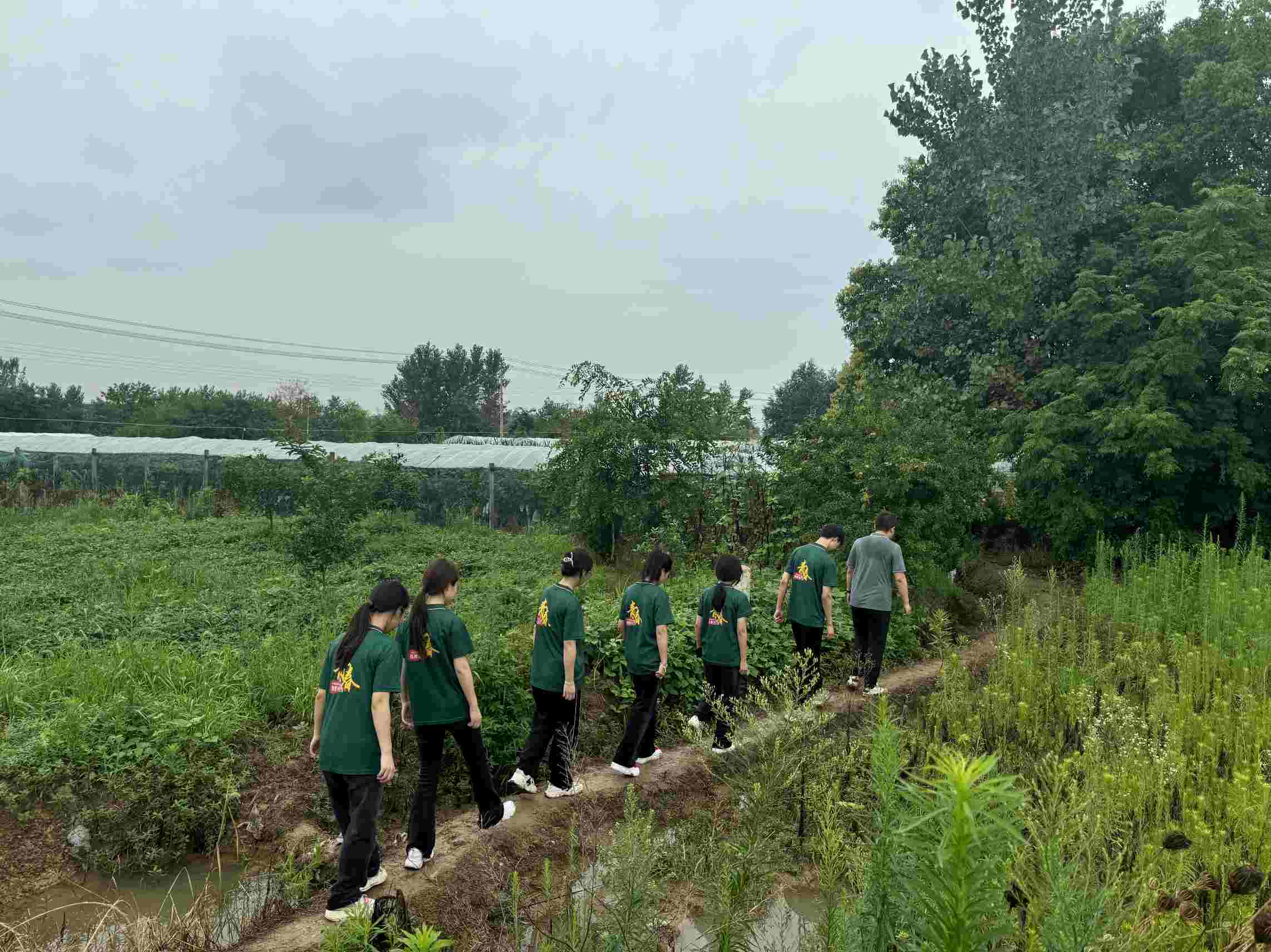 《巢湖學(xué)院：大棚薄膜改革調(diào)研推廣，助力鄉(xiāng)村農(nóng)業(yè)發(fā)展》