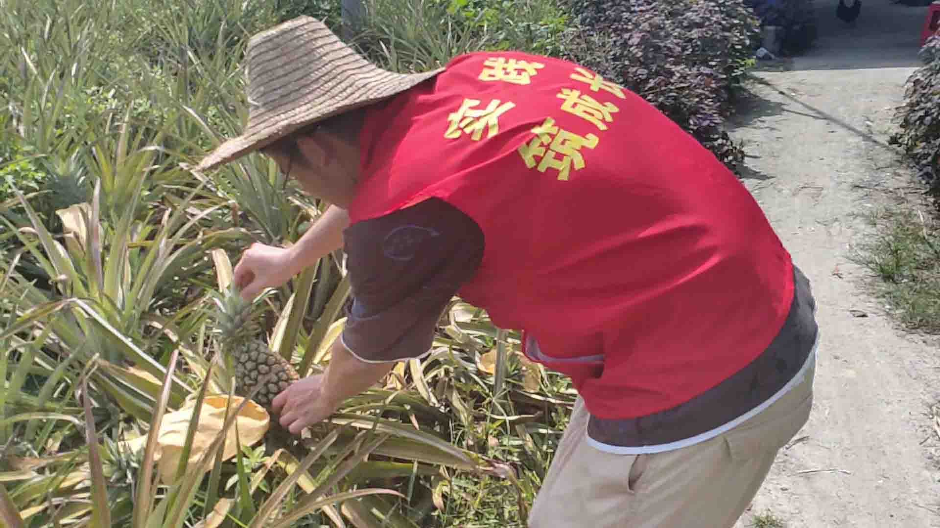 桂航學子暑期實踐活動：覽鄉(xiāng)村之成果 用行動踐初心