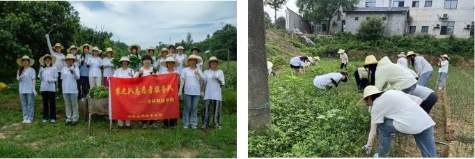 培養(yǎng)勞動情懷與實踐情懷，點亮美好未來
