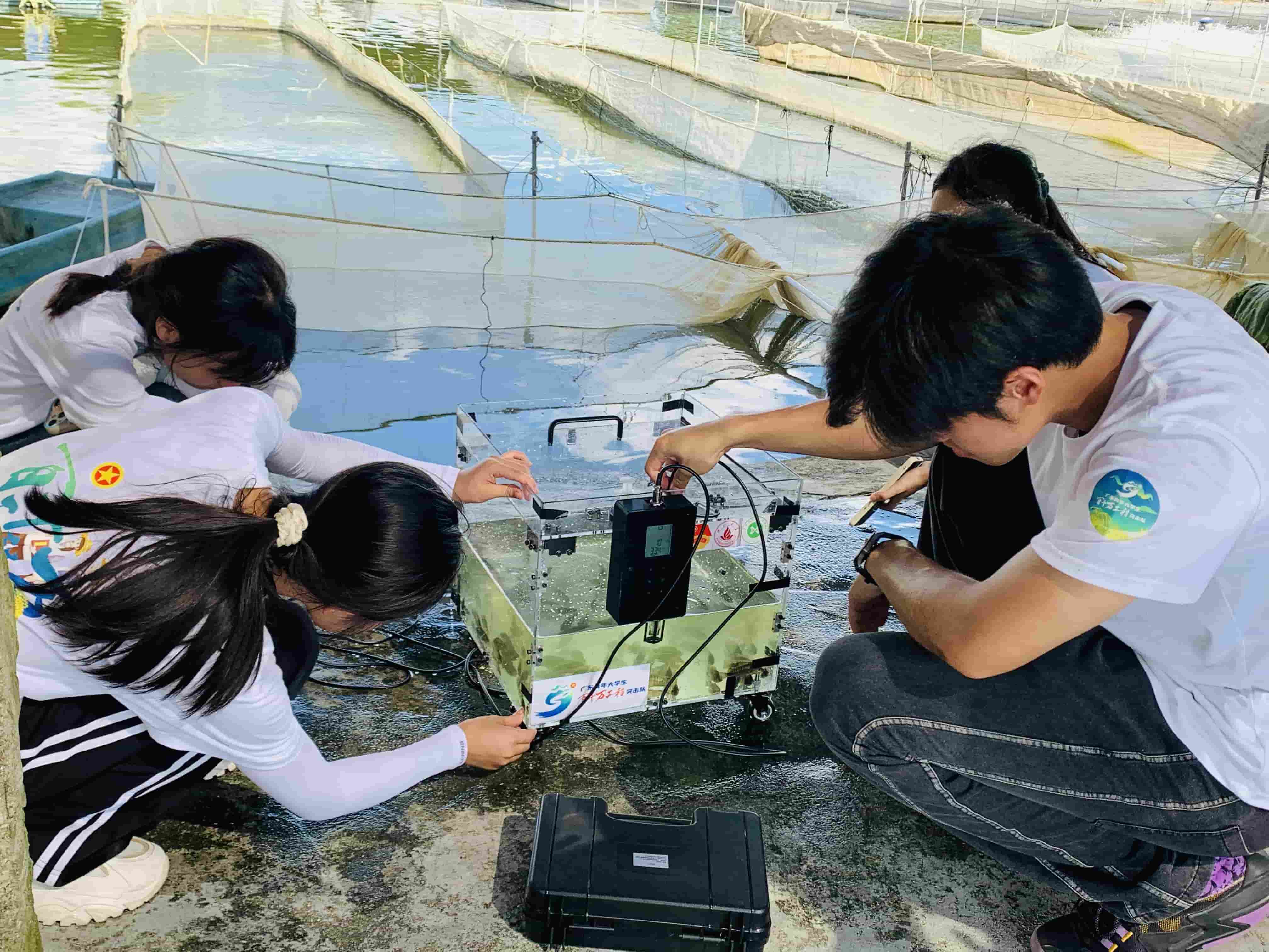 智慧漁業(yè)助力鄉(xiāng)村振興：佛山大學實踐團創(chuàng)新羅非魚苗運輸技術
