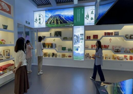 “隴上江南”實踐團(tuán)踏足隴南電商尋蹤跡，一線調(diào)研實踐求真