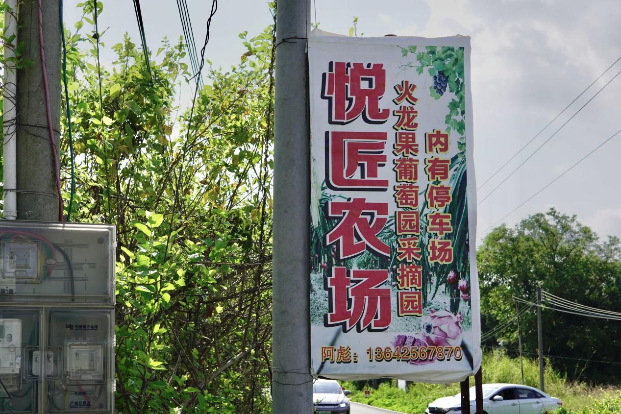 【百千萬工程 助力鄉(xiāng)春】挖掘西河農(nóng)業(yè)特色，探尋產(chǎn)業(yè)發(fā)展脈絡(luò)