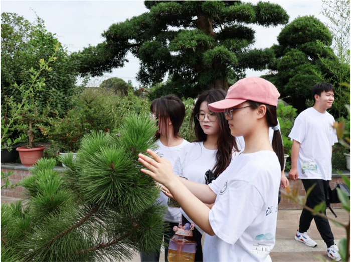 聚焦成都世園會溫江分會場，賦能非遺盆景產(chǎn)業(yè)發(fā)展