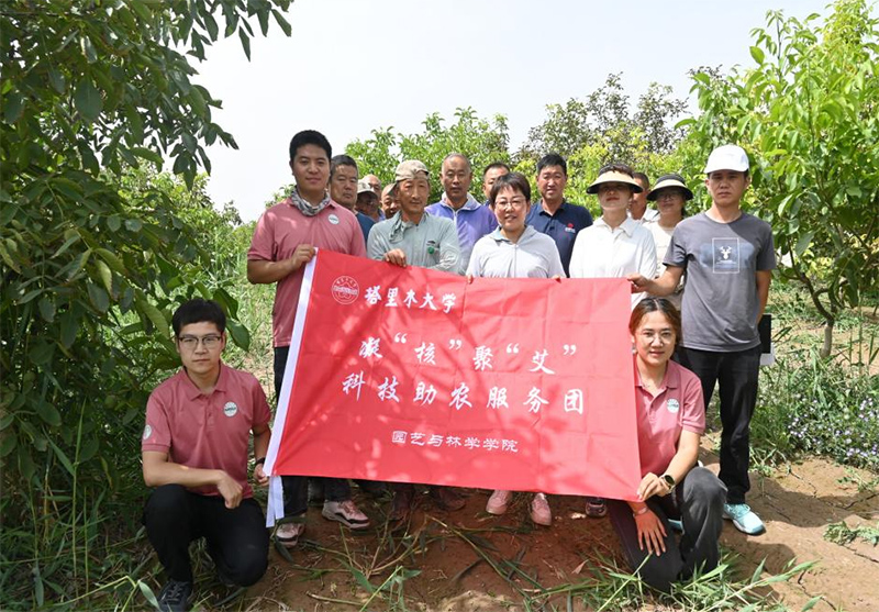 解決果農(nóng)問題，助力核桃產(chǎn)業(yè)