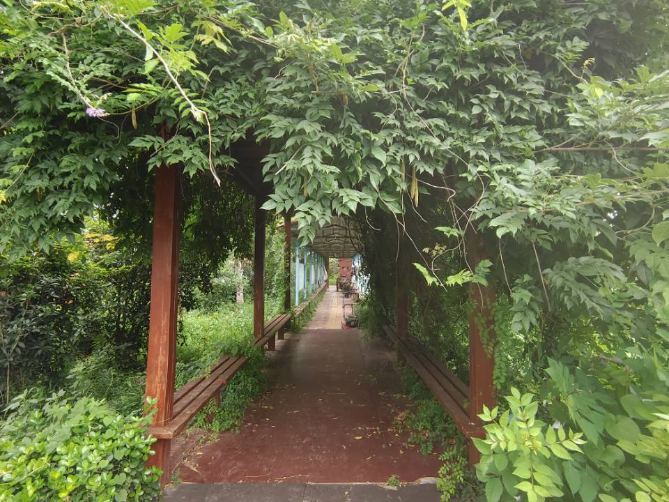 "青春的奉獻(xiàn)：李順雨同學(xué)暑期支教夢，點(diǎn)燃母校東方寄宿學(xué)校學(xué)子心"