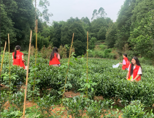 屏山三下鄉(xiāng)活動圓滿成功