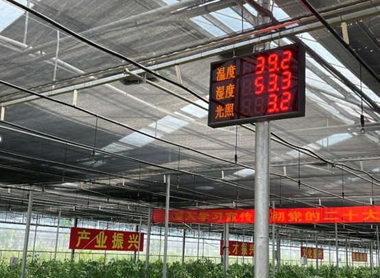 中量大“鋤江夢”小隊奮力推進智慧農(nóng)業(yè)：探訪平江光伏大棚